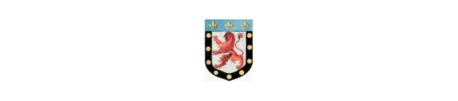 DICTIONNAIRE HISTORIQUE ET GÉNÉALOGIQUE DES FAMILLES DU POITOU
